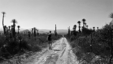 Etape 10 : cactus à perte de vue