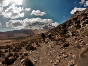 Etape 149 : Ascension Sajama vers le camp d'altitude ( 5700 m)