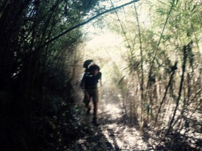 Etape 191 : marcher sur les bambous pour trouver son chemin